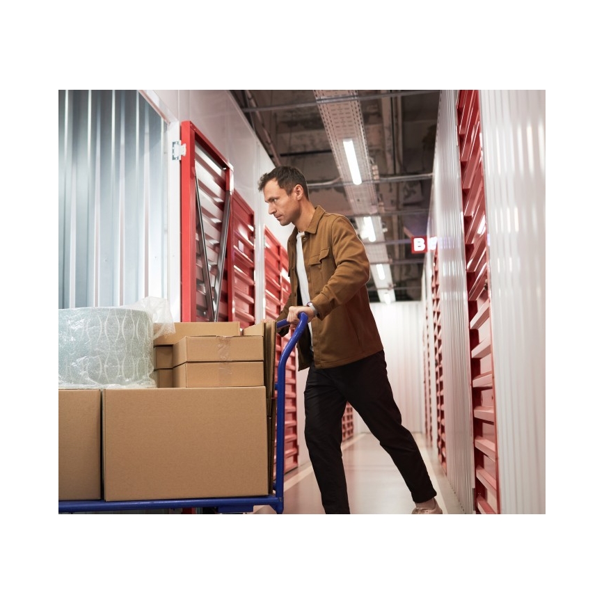 Luminaria fluorescente T8 DELFIA 2xG13/18W/230V 124 cm blanca