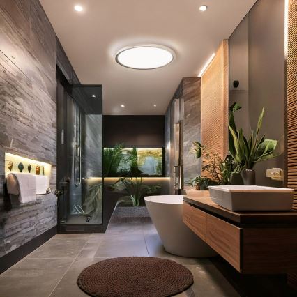 Lámpara de techo LED para baño ACATE LED/18W/230V 3000/4000/6000K Ø 22 cm IP54