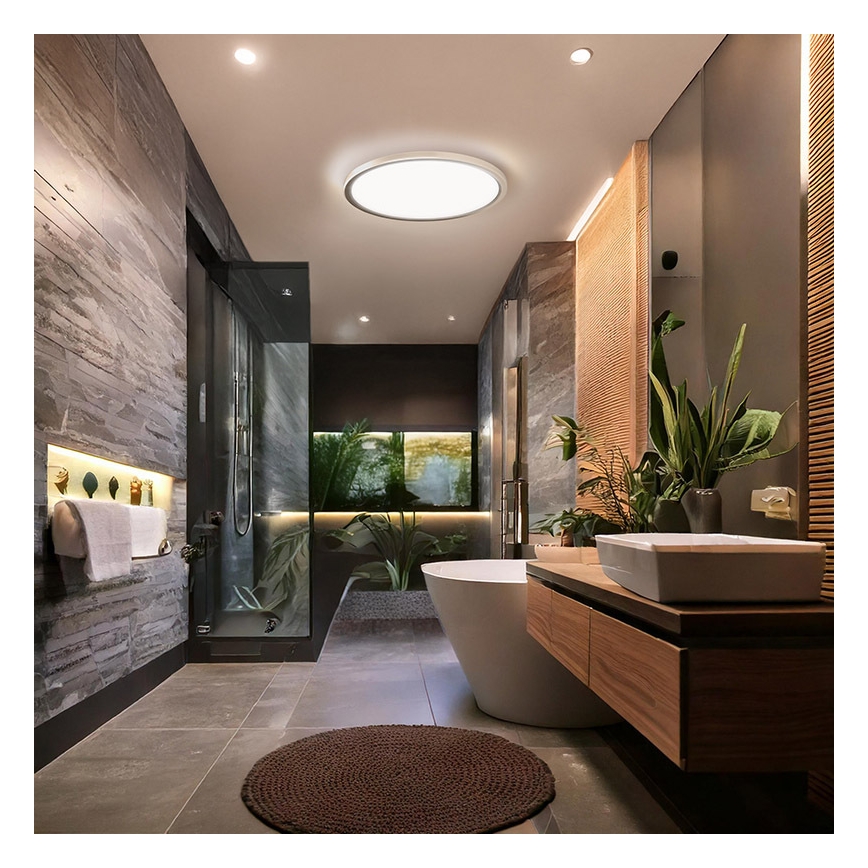 Lámpara de techo LED para baño ACATE LED/18W/230V 3000/4000/6000K Ø 22 cm IP54