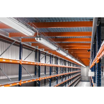 Luminaria LED técnica fluorescente T8 2xG13/10W/230V 6000K 60 cm IP65 blanca