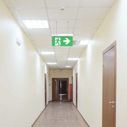 Luz de emergencia LED EMERGENCY EXIT LED/2,5W/230V 4en1 6000K