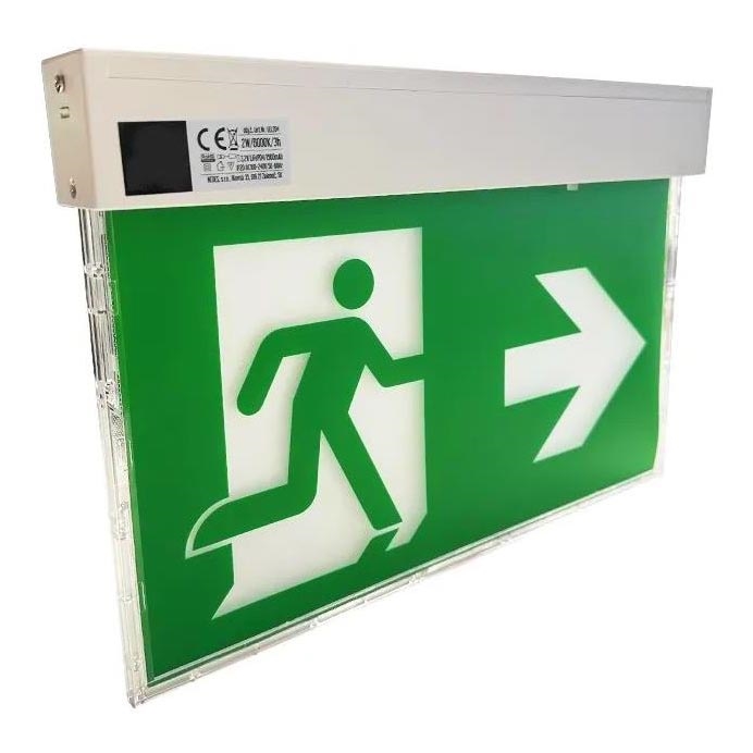 Luz de emergencia LED LED/2W/230V 6000K 1500 mAh