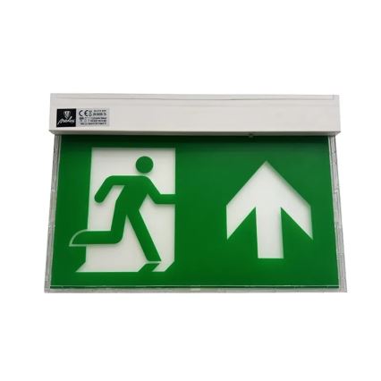 Luz de emergencia LED LED/2W/230V 6000K 1500 mAh