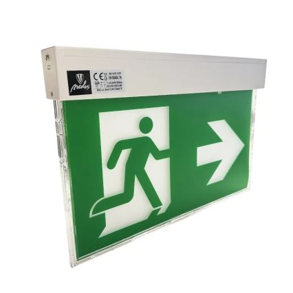 Luz de emergencia LED LED/2W/230V 6000K 1500 mAh
