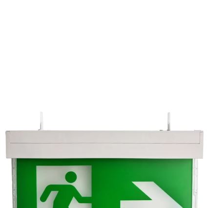 Luz de emergencia LED LED/2W/230V 6000K 1500 mAh