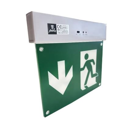 Luz de emergencia LED LED/2W/230V 6000K 300 mAh
