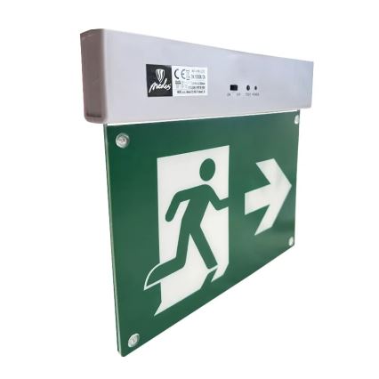 Luz de emergencia LED LED/2W/230V 6000K 300 mAh