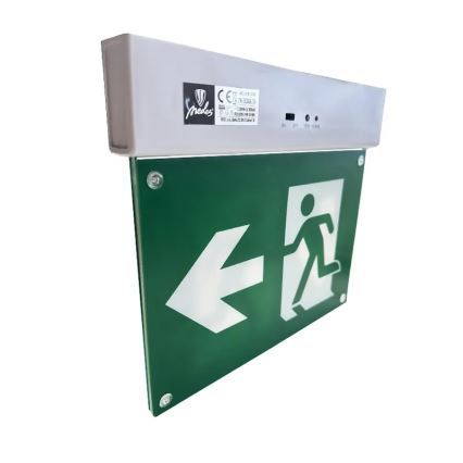 Luz de emergencia LED LED/2W/230V 6000K 300 mAh