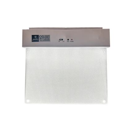 Luz de emergencia LED LED/2W/230V 6000K 300 mAh