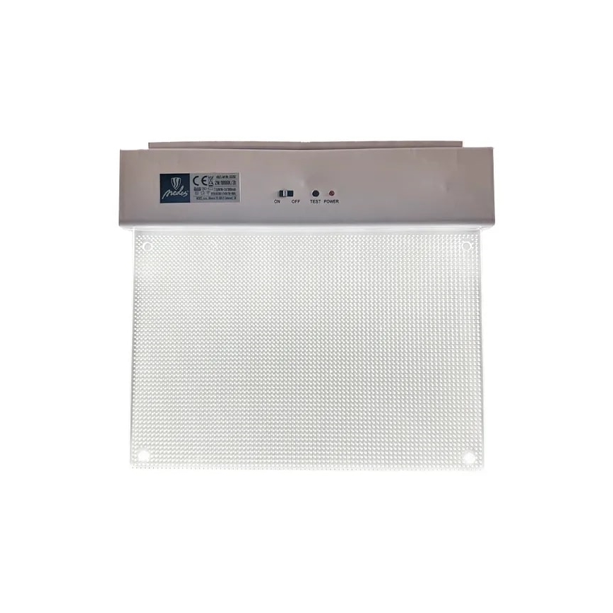 Luz de emergencia LED LED/2W/230V 6000K 300 mAh