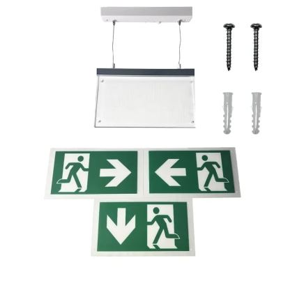 Luz de emergencia LED LED/4W/230V 6000K 1000 mAh