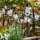 Markslöjd 107293 - Cadena decorativa LED para exterior GIRLANDA GARDEN 10xLED 5,5m IP44