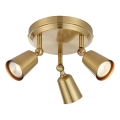 Markslöjd 108980 - Lámpara de focos TINY 3xGU10/7W/230V latón