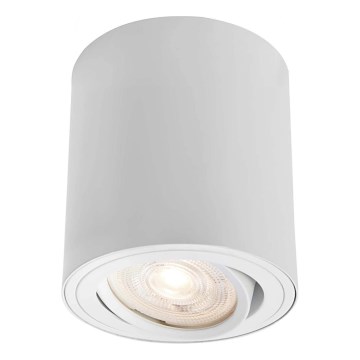 Markslöjd 109020 - Foco LED regulable DIRETTO LED/5W/230V CRI 90 blanco