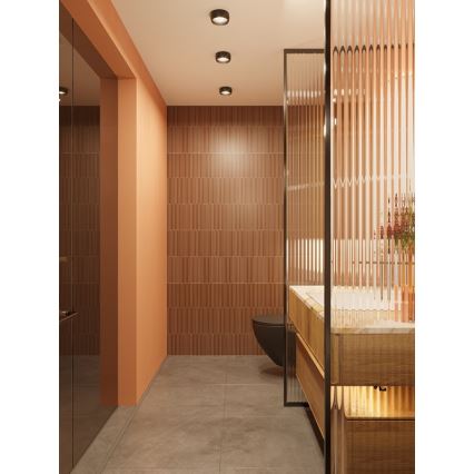 MAXLIGHT C0204 - Plafón LED de baño KODAK LED/8W/230V diá. 10,8 cm IP44 negro