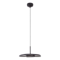 MAXLIGHT P0560 - Lámpara LED colgante DEUX LED/5W/230V negro