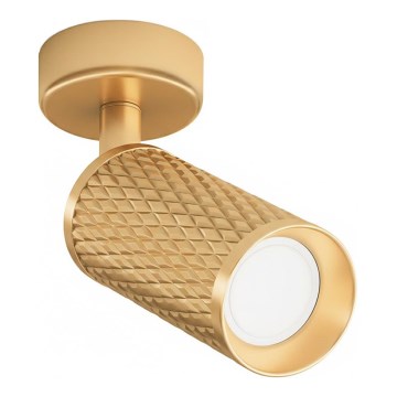 Maytoni C034CL-01G - Foco orientable FOCUS 1xGU10/10W/230V dorado