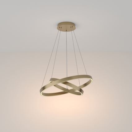 Maytoni MOD058PL-L55BS3K - Lámpara LED colgante RIM LED/61W/230V 3000K diá. 60 cm dorado