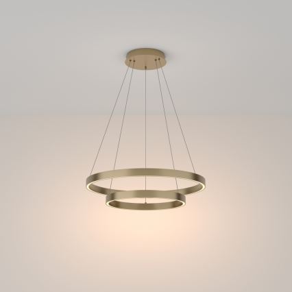 Maytoni MOD058PL-L55BS3K - Lámpara LED colgante RIM LED/61W/230V 3000K diá. 60 cm dorado