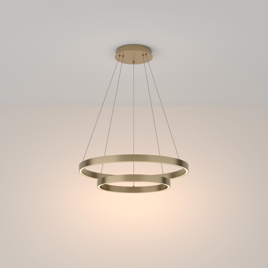 Maytoni MOD058PL-L55BS3K - Lámpara LED colgante RIM LED/61W/230V 3000K diá. 60 cm dorado