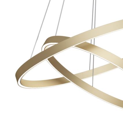 Maytoni MOD058PL-L55BS3K - Lámpara LED colgante RIM LED/61W/230V 3000K diá. 60 cm dorado