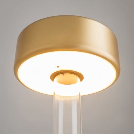 Maytoni MOD229TL-L3G3K1 - Lámpara de mesa portátil LED recargable y regulable LED/3W/5V 2200-4000K dorado/transparente