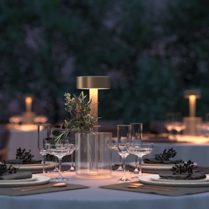 Maytoni MOD229TL-L3G3K1 - Lámpara de mesa portátil LED recargable y regulable LED/3W/5V 2200-4000K dorado/transparente