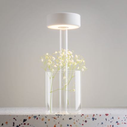 Maytoni MOD229TL-L3W3K1 - Lámpara de mesa portátil recargable LED regulable LED/3W/5V 2200-4000K 2000 mAh blanca/transparente