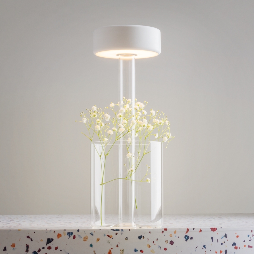 Maytoni MOD229TL-L3W3K1 - Lámpara de mesa portátil recargable LED regulable LED/3W/5V 2200-4000K 2000 mAh blanca/transparente