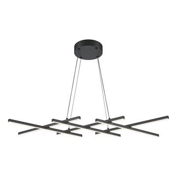 Maytoni MOD244PL-L50BK - Lámpara colgante con cable HALO LED/40W/230V negra