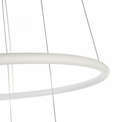 Maytoni MOD807-PL-02-36-W - Lámpara LED colgante NOLA LED/36W/230W