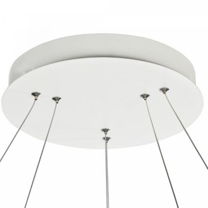 Maytoni MOD807-PL-02-85-W - Lámpara LED colgante NOLA LED/85W/230V