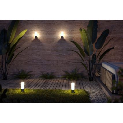 Maytoni O418FL-01B - Lámpara de exterior WILLIS 1xE27/60W/230V 30 cm IP54 negro