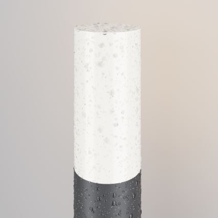 Maytoni O418FL-01GR1 - Lámpara de exterior WILLIS 1xE27/60W/230V 80 cm IP54 antracita