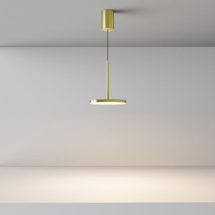 Maytoni P076PL-L12W3K-BS - Lámpara LED colgante PLATO LED/12W/230V 3000K dorado