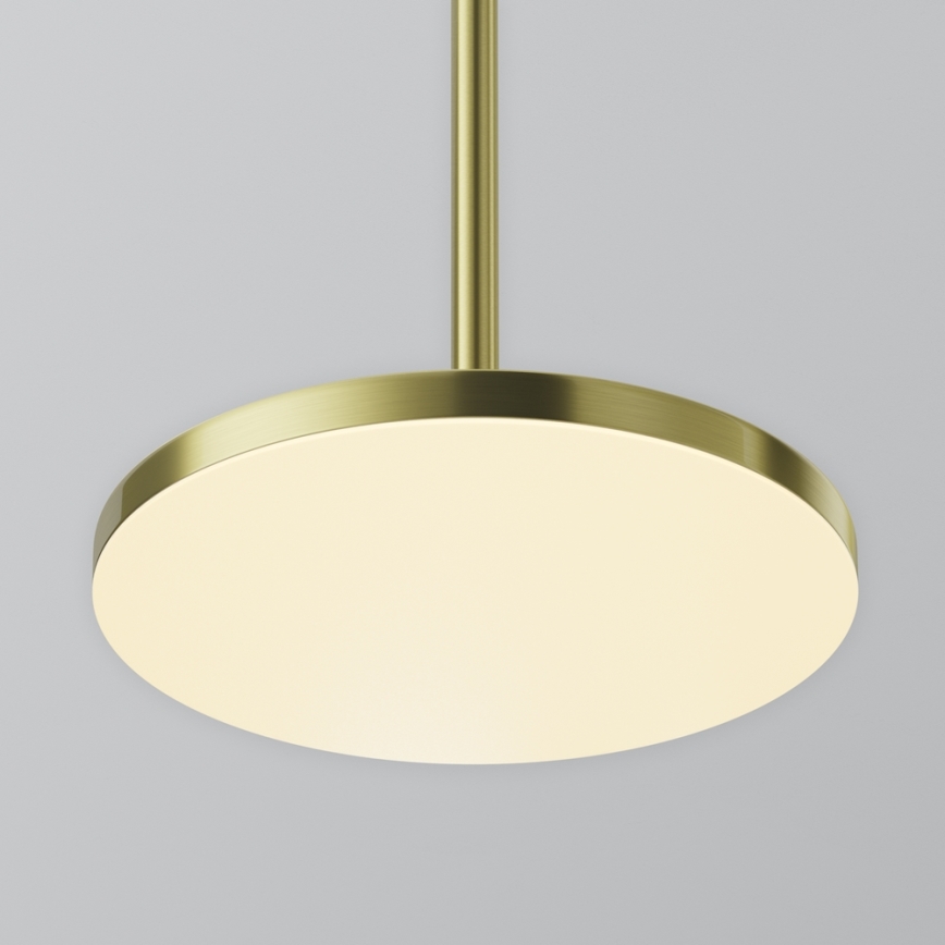 Maytoni P076PL-L12W3K-BS - Lámpara LED colgante PLATO LED/12W/230V 3000K dorado