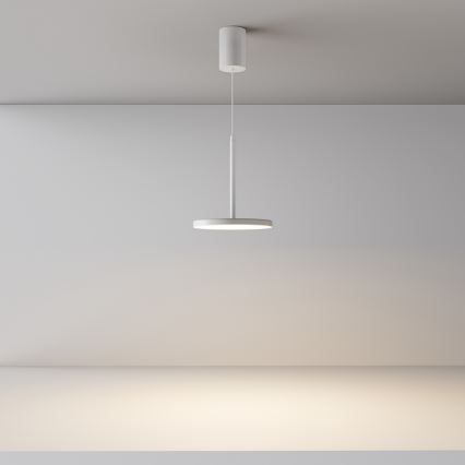 Maytoni P076PL-L12W3K-W - Lámpara LED colgante PLATO LED/12W/230V 3000K blanco