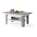 Mesa de centro plegable con tablero elevable ROY gris/blanco