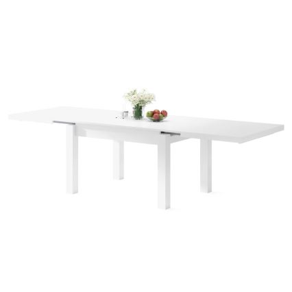 Mesa de comedor extensible para 12 personas RALF, 120/270x90 cm, blanca