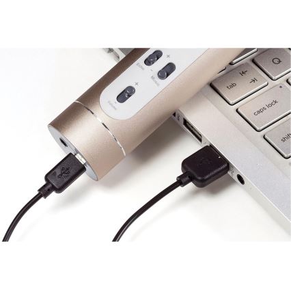 Micrófono de karaoke Bluetooth 6W/5V 1500 mAh dorado