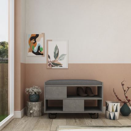 Mueble zapatero TROY 53,5x83,5 cm gris