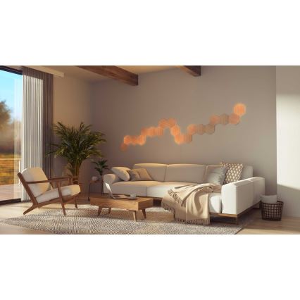 Nanoleaf - SET 13x Panel LED regulable HEXAGONS LED/2W/230V Wi-Fi