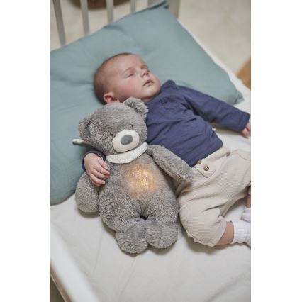 Nattou - Pelele con melodía y luz SLEEPY BEAR 4en1 gris