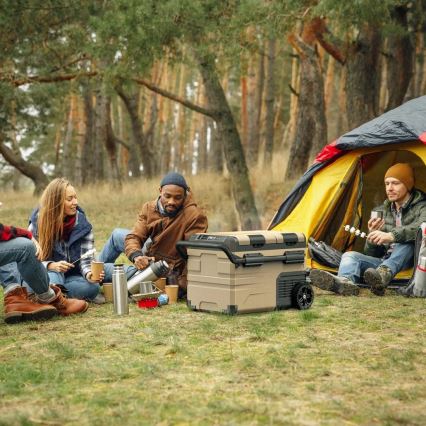 Nevera de viaje con pantalla LCD 39 l 230V/12V/24V marrón