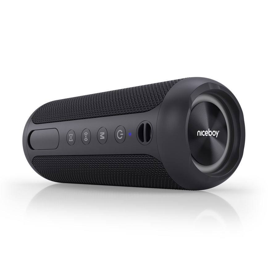 Niceboy Polaris - Altavoz inalámbrico LED con micrófono 30W/2000mAh IPX7 negro