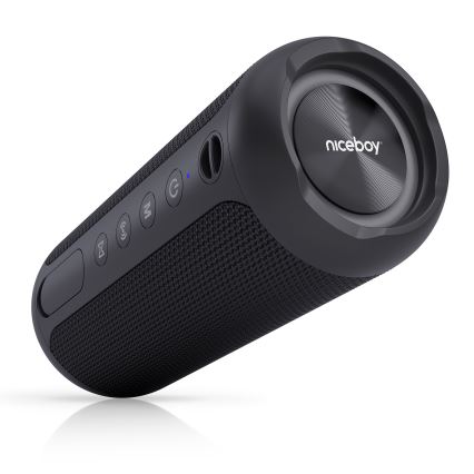 Niceboy Polaris - Altavoz inalámbrico LED con micrófono 30W/2000mAh IPX7 negro