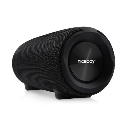 Niceboy Titan 4 - Altavoz inalámbrico LED con micrófono y función de power bank 50W/4000 mAh IPX7 negro