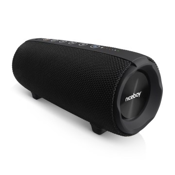 Niceboy Titan 4 - Altavoz inalámbrico LED con micrófono y función de power bank 50W/4000 mAh IPX7 negro