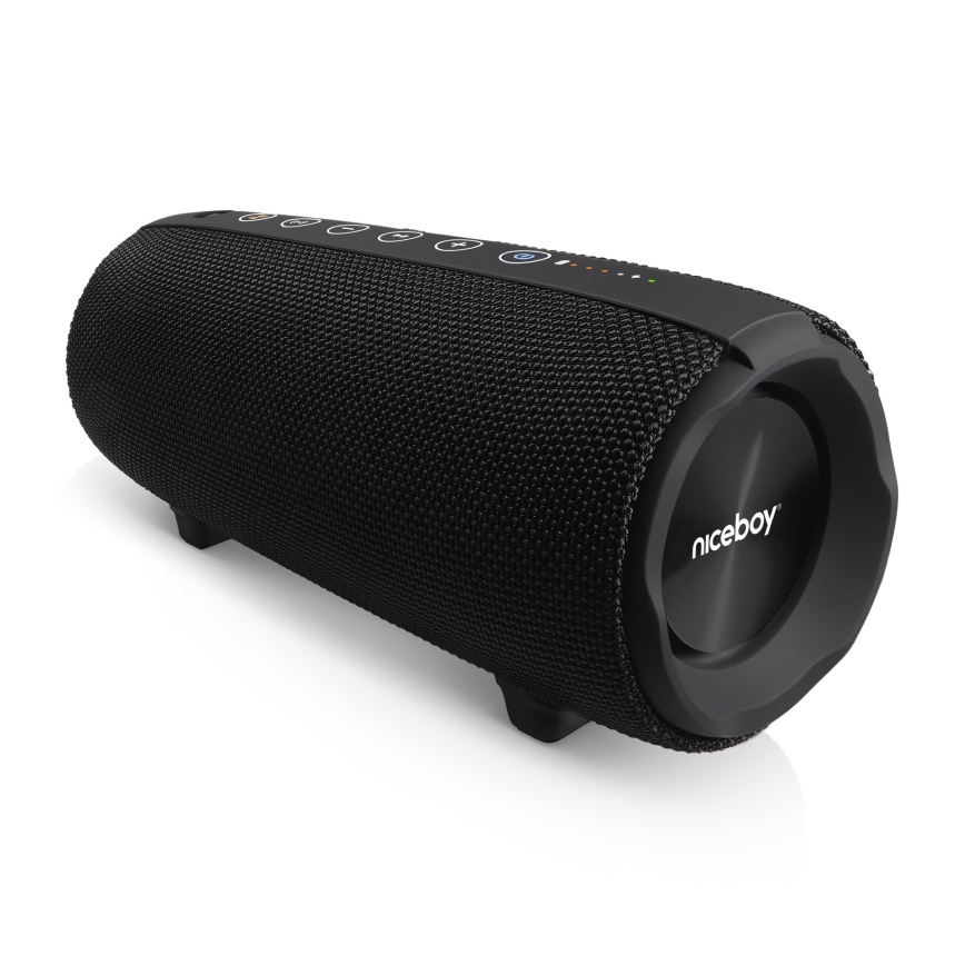 Niceboy Titan 4 - Altavoz inalámbrico LED con micrófono y función de power bank 50W/4000 mAh IPX7 negro
