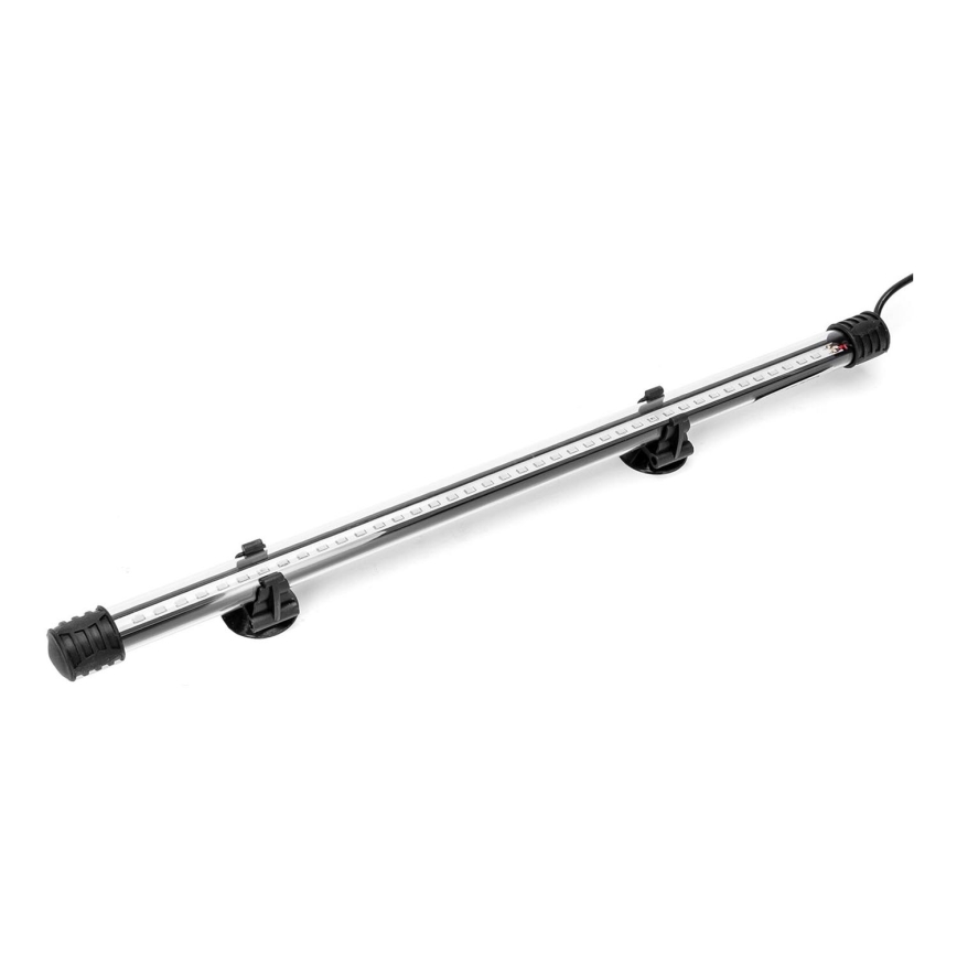 Nobleza - LED Iluminación para acuarios LED/2W/230V IPX7 40 cm